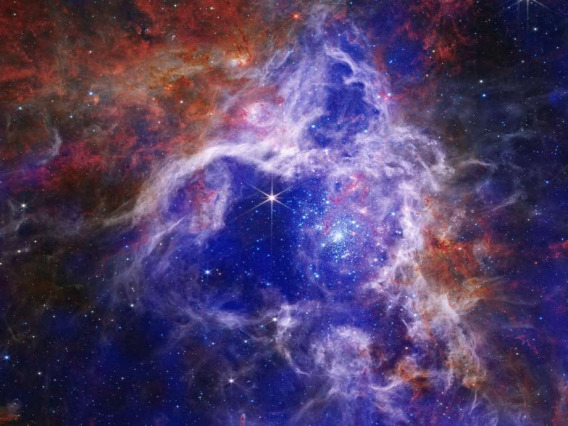 A composite image of the Tarantula Nebula.