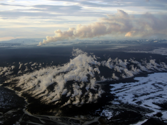 Created by an eruption five years ago, the Holuhraun lava flow field in Iceland is some of the newest "real estate" in the world. 