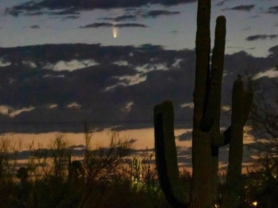 Comet NEOWISE captured on July 6, 2020 above the northeast horizon just before sunrise in Tucson. Viewers in the region can find the comet in the northeastern sky near the horizon between 4 and 4:30 a.m. until July 11, after which it will be visible in th