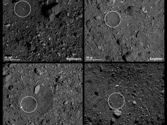 The final four candidate sample collection sites on asteroid Bennu are designated Nightingale, Kingfisher, Osprey and Sandpiper. Each circle has a 16.4 ft (5 m) radius. Credit: NASA/Goddard/University of Arizona