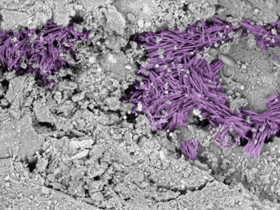 Bennu sample, sodium carbonate
