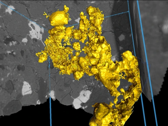 Molten sulfide network (colored gold) percolates between silicate mineral grains