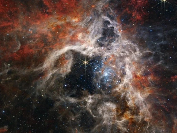 Tarantula Nebula