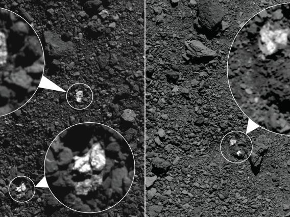 During spring 2019, NASA’s OSIRIS-REx spacecraft captured these images, which show fragments of asteroid Vesta present on asteroid Bennu’s surface. The bright boulders (circled in the images) are pyroxene-rich material from Vesta. Some bright material appear to be individual rocks (left) while others appear to be clasts within larger boulders (right).NASA/Goddard/University of Arizona