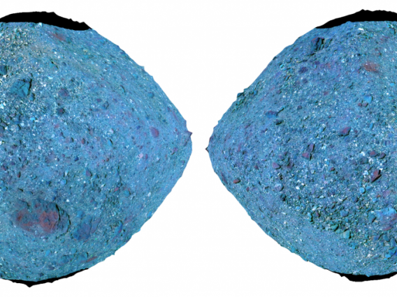 NASA’s OSIRIS-REx mission created these images using false-color Red-Green-Blue composites of asteroid Bennu. A 2D map and spacecraft imagery were overlaid on a shape model of the asteroid to create these false-color composites. In these composites, spectrally average and bluer-than-average terrain looks blue, and surfaces that are redder than average appear red. Bright green areas correspond to the instances of a mineral pyroxene, which likely came from a different asteroid, Vesta.