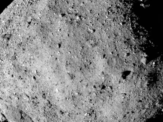 twelve-image_polycam_mosaic_12-2-18_PNG.png