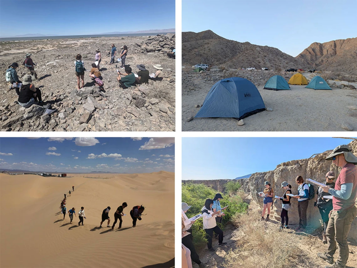 Fieldtrip scenes
