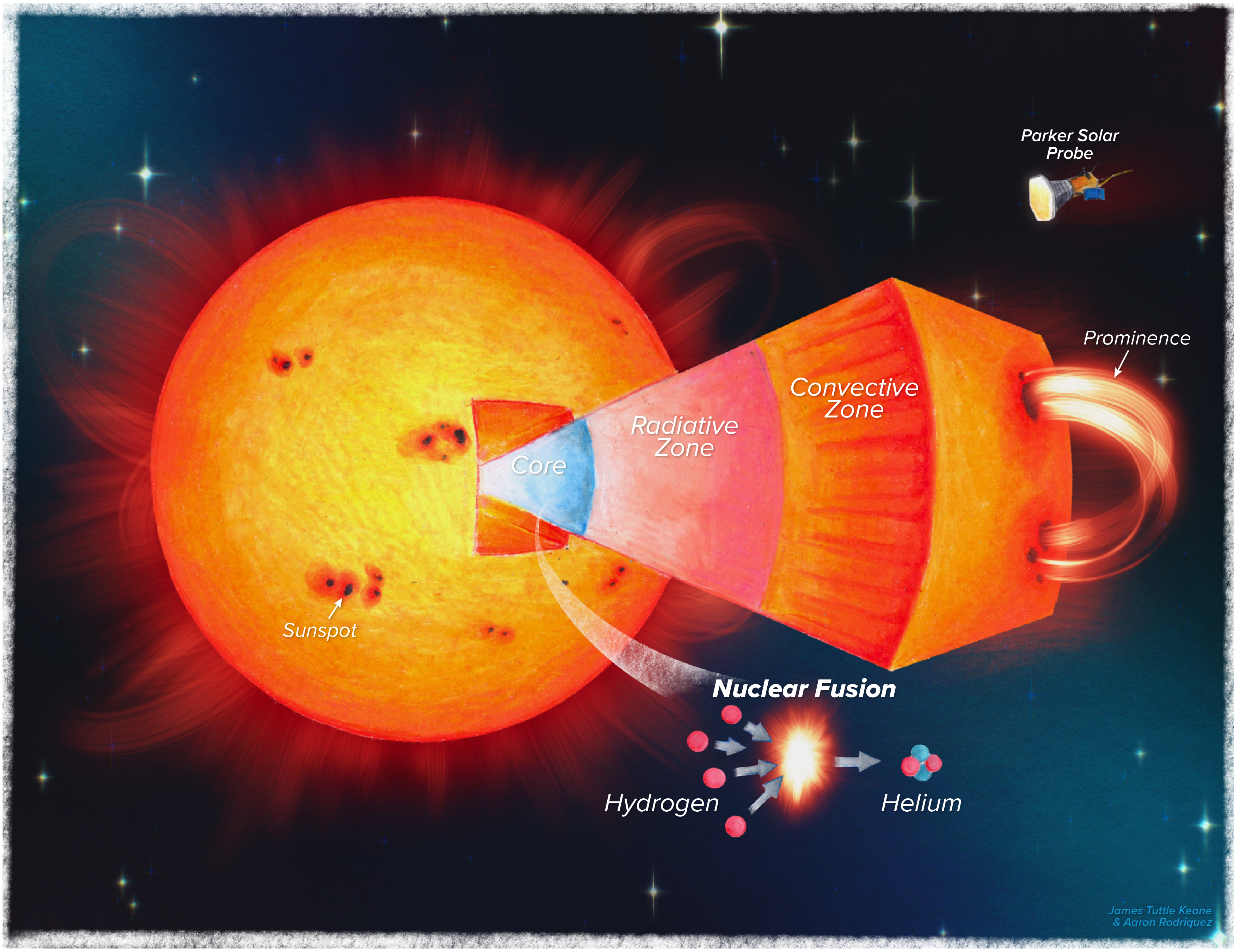 Illustration of the Sun with sunspots. A blown out portion shows the Sun's Core, Radiative Zone and Convection Zone (in order going outward). A cartoon of Hydrogen fusing into Helium is shown at bottom and the Parker Solar Probe at top.