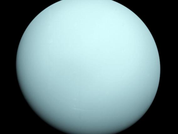 NASA image of Uranus. The featureless, muted turquoise disk of the planet is just shy of completely full and is otherwise uninterrupted.