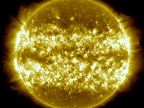 A yellow disk of the sun with prominences visible around the edge and two bands of bright activity just above and below the equator.