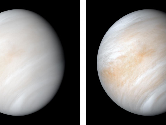 Side by side images of Venus showing the cloudtops with the left showing a generally more uniform and bright white side and the right panel showing more variation in brightness with slightly darker/more yellow/orange colors around middle latitudes and variation in clouds with hints at the characteristic "Y" cloudtop pattern of Venus.