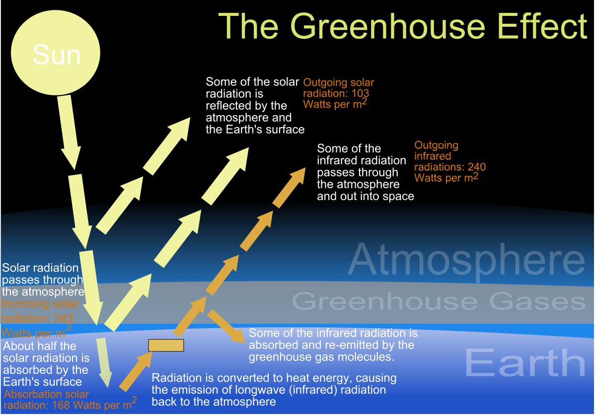 greenhouse