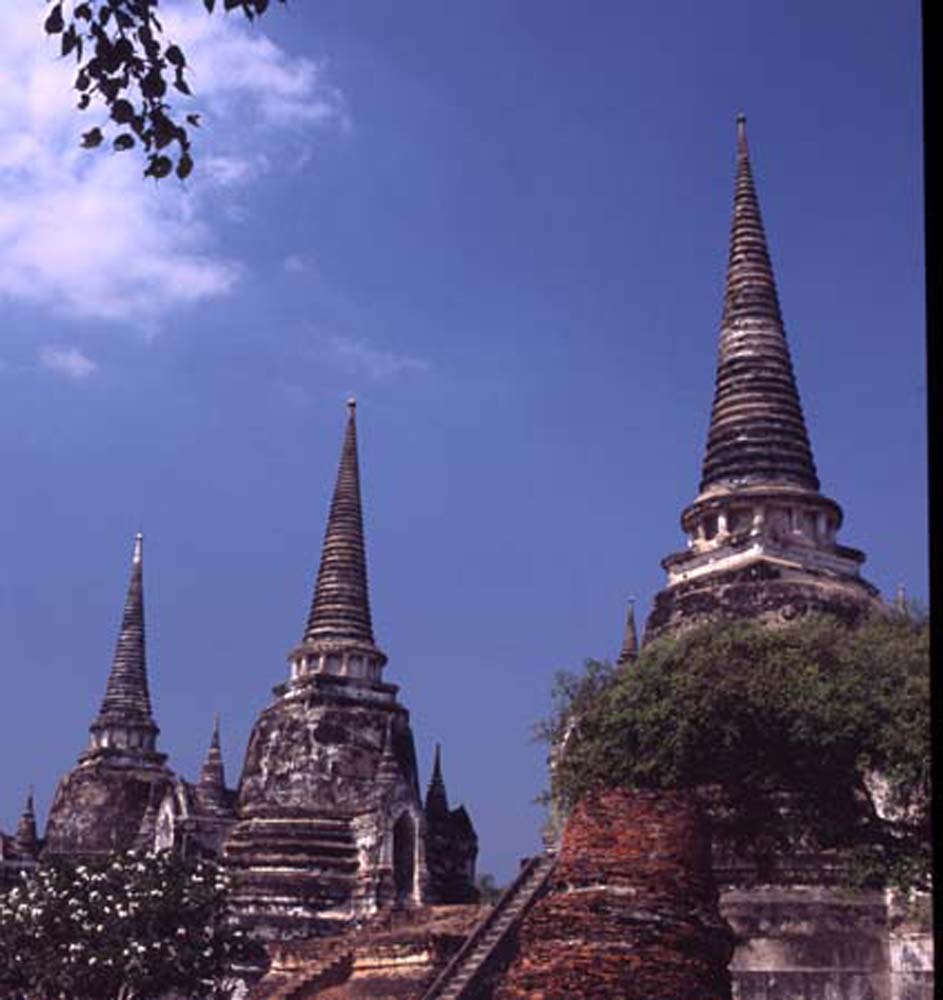 Thai_001